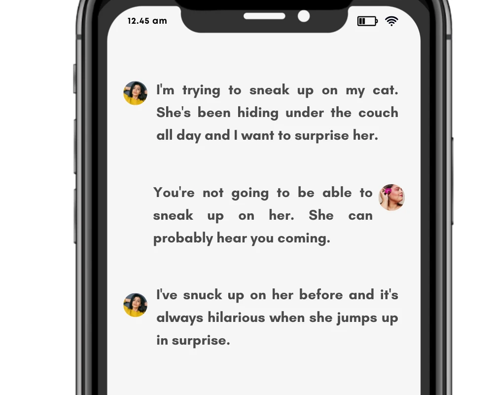 Sneak/snuck used in conversation.