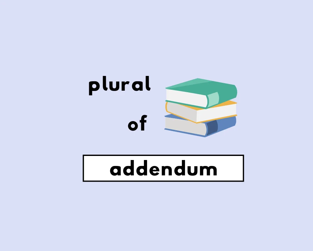 How to Use Addendum Plural (Explained, Examples)