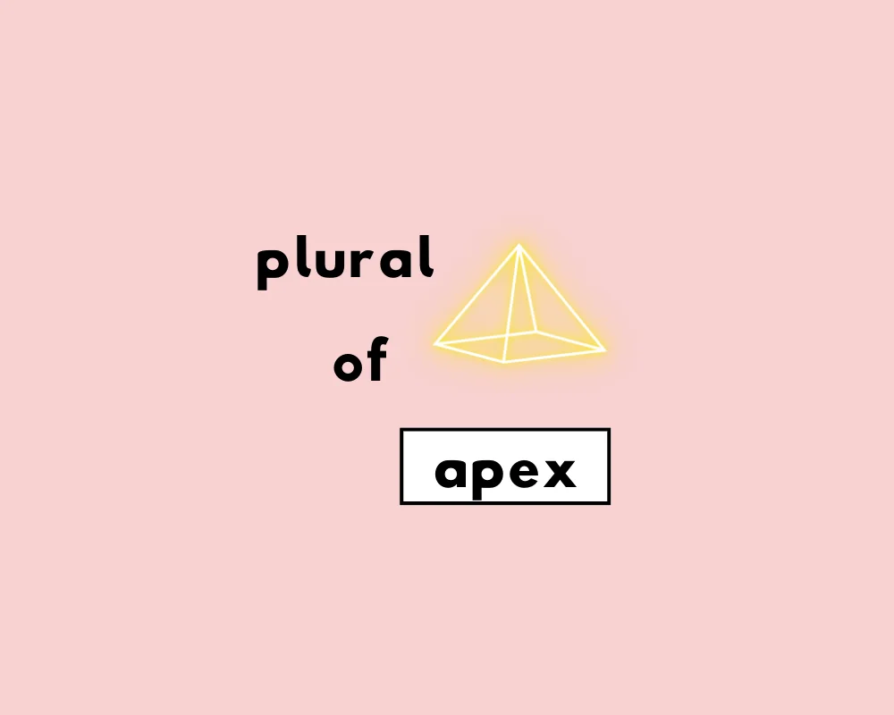 How to Use Apex Plural (Explained, Examples & Worksheet)