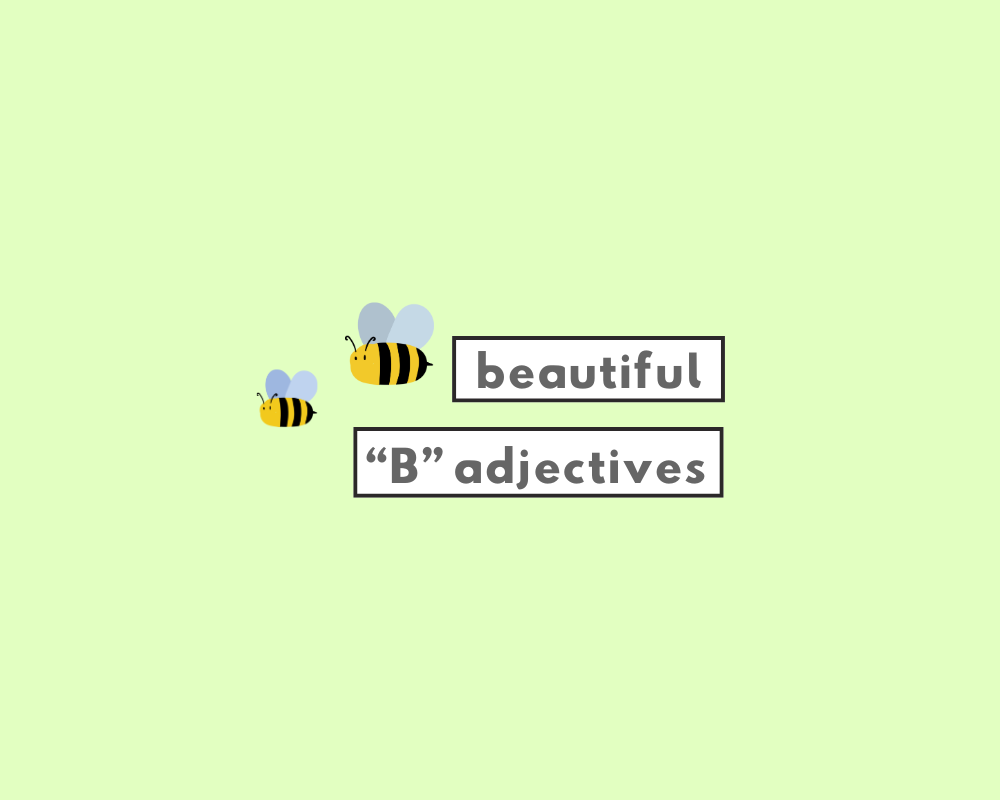 Adjectives Beginning with B (Definition, Examples & Quiz)