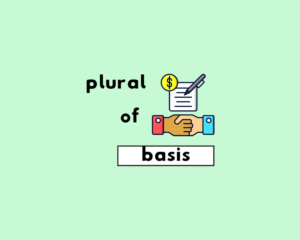 How to Use Basis Plural (Explained, Examples)