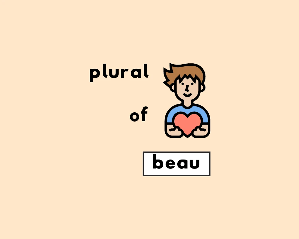How to Use Beau Plural (Explanation & Worksheet)
