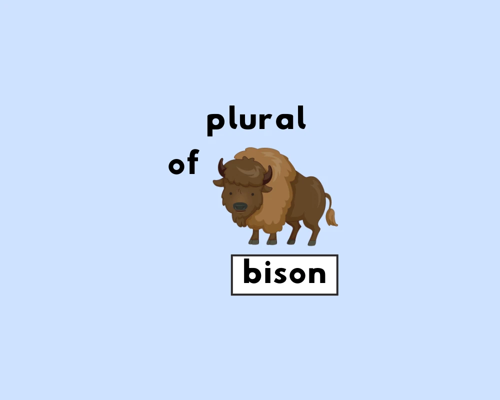 How to Use Bison Plural (Explained, With Examples)