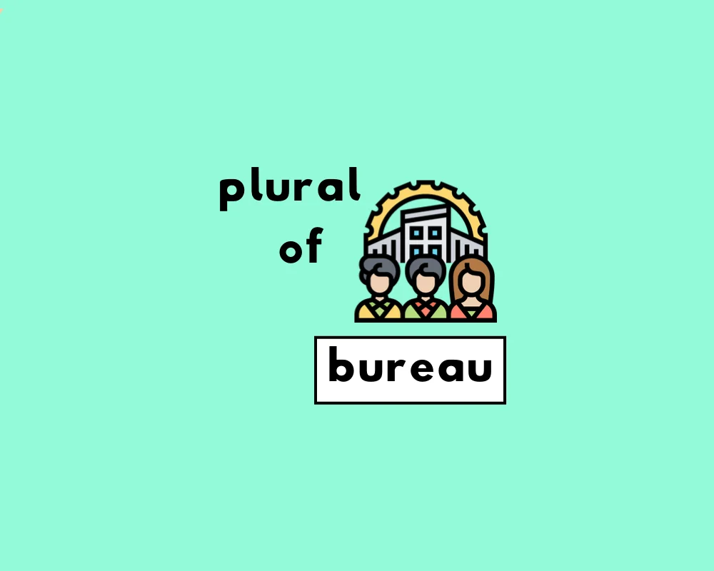 How to Use Bureau Plural (Bureaus or Bureaux?)