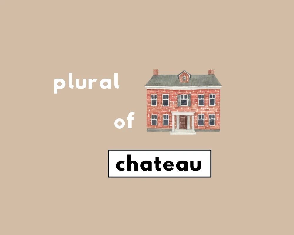 How to Use Chateau Plural (Chateaus or Chateaux?)