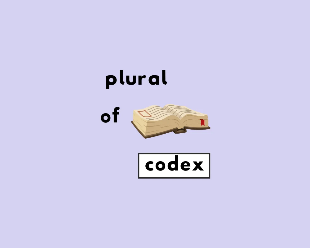 How to Use Codex Plural (Explained, With Examples)