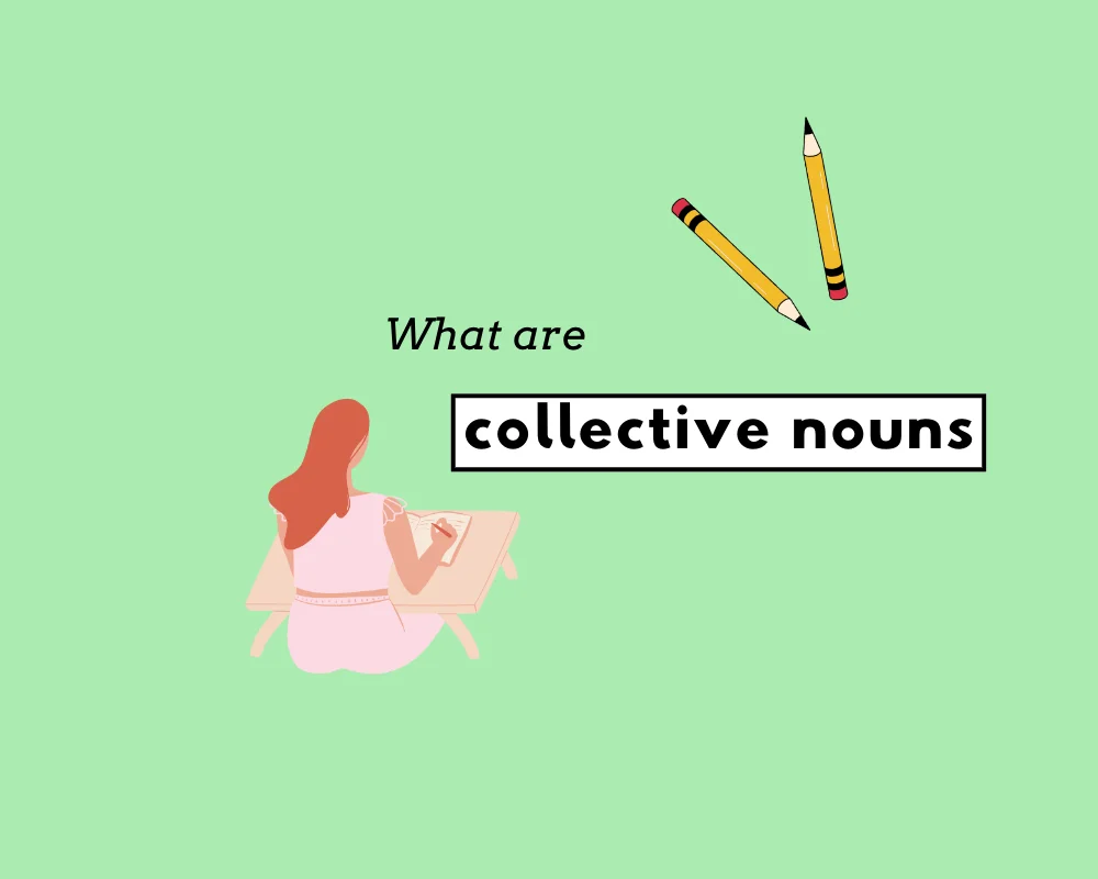 How to Use Collective Nouns (Explanation, With Examples)