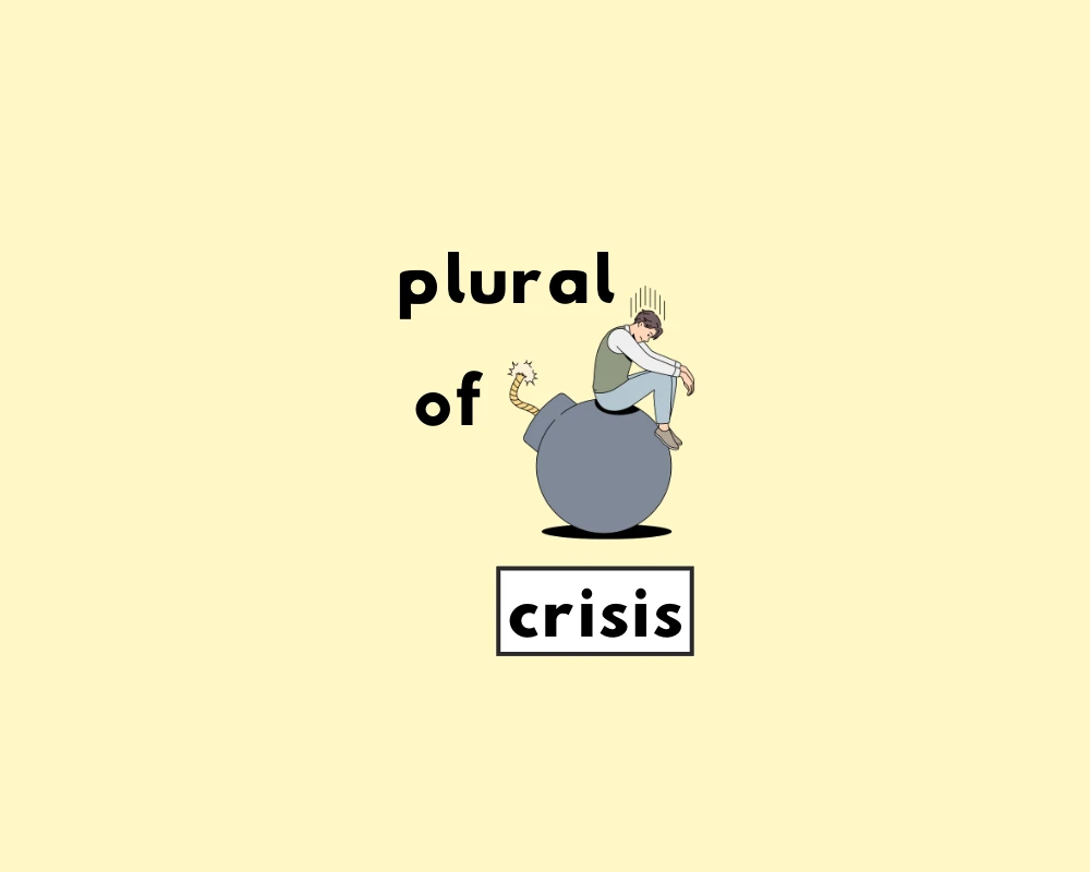How to Use Crisis Plural (Crisis, Crisises?)