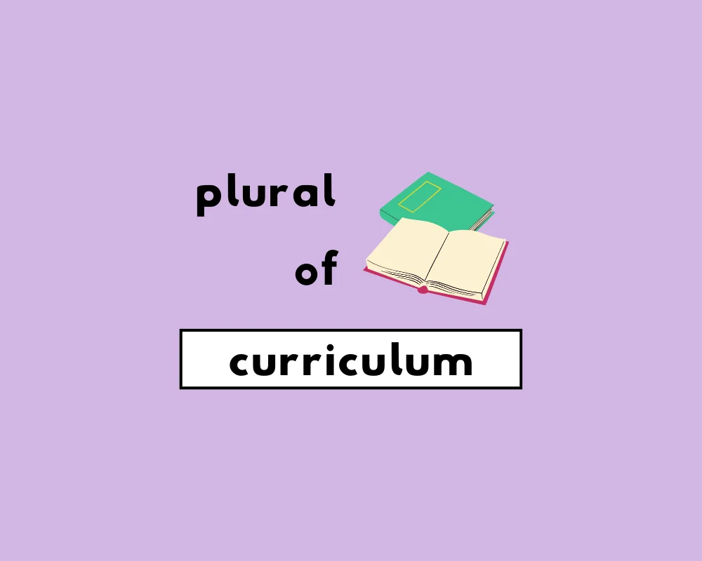 How to Use Curriculum Plural (Curriculums, Curricula?)