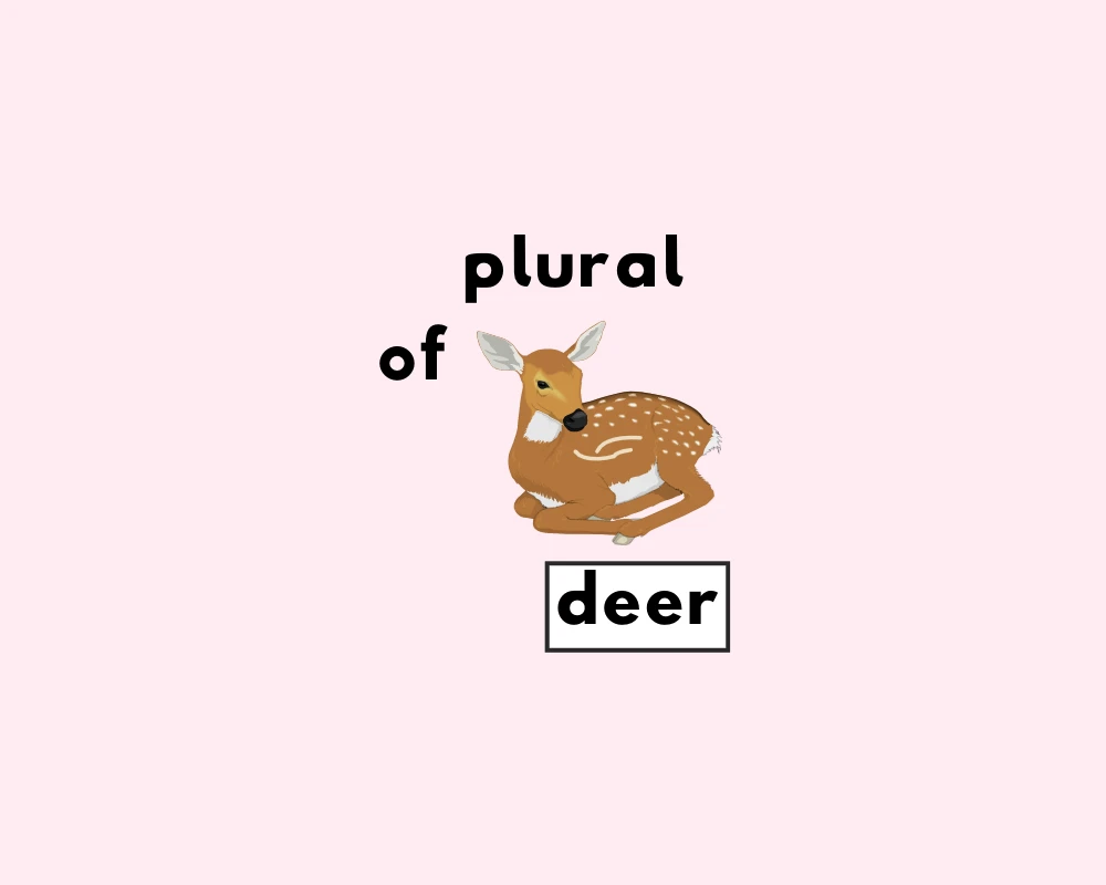 How to Use Deer Plural (Explained, With Examples)