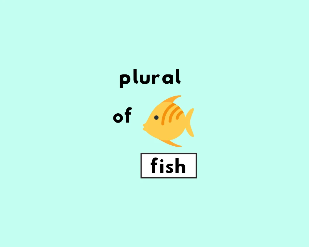 How to Use Fish Plural (Explained, Examples & Worksheet