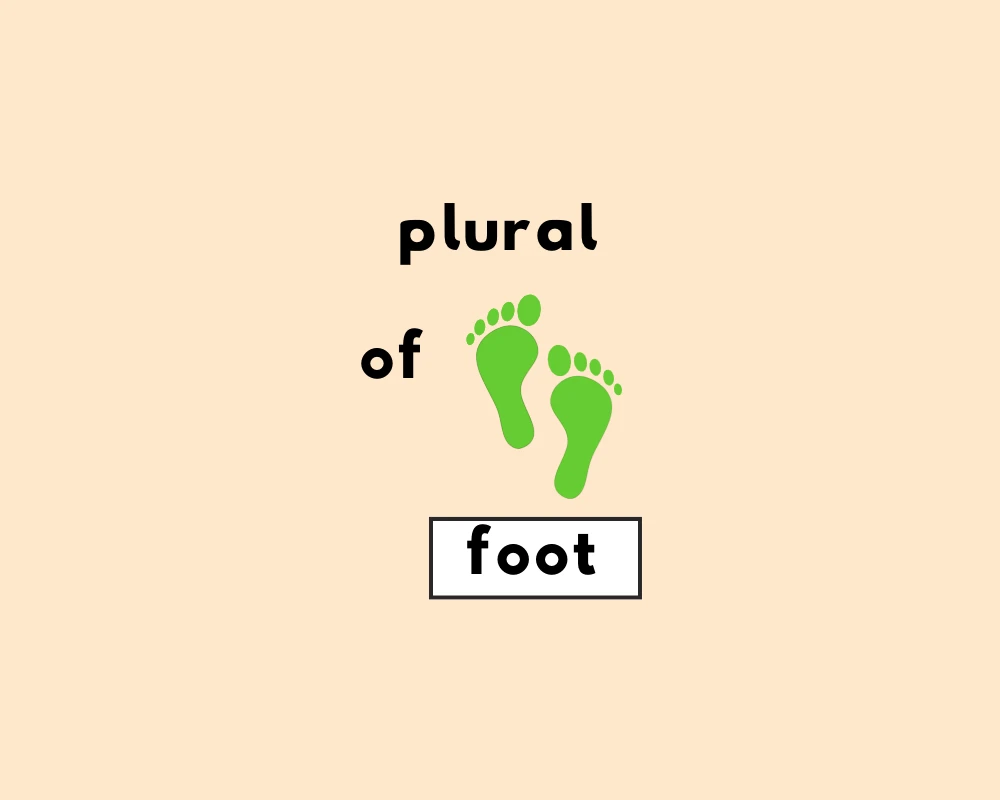 How to Use Foot Plural (Explained, Examples & Worksheet)
