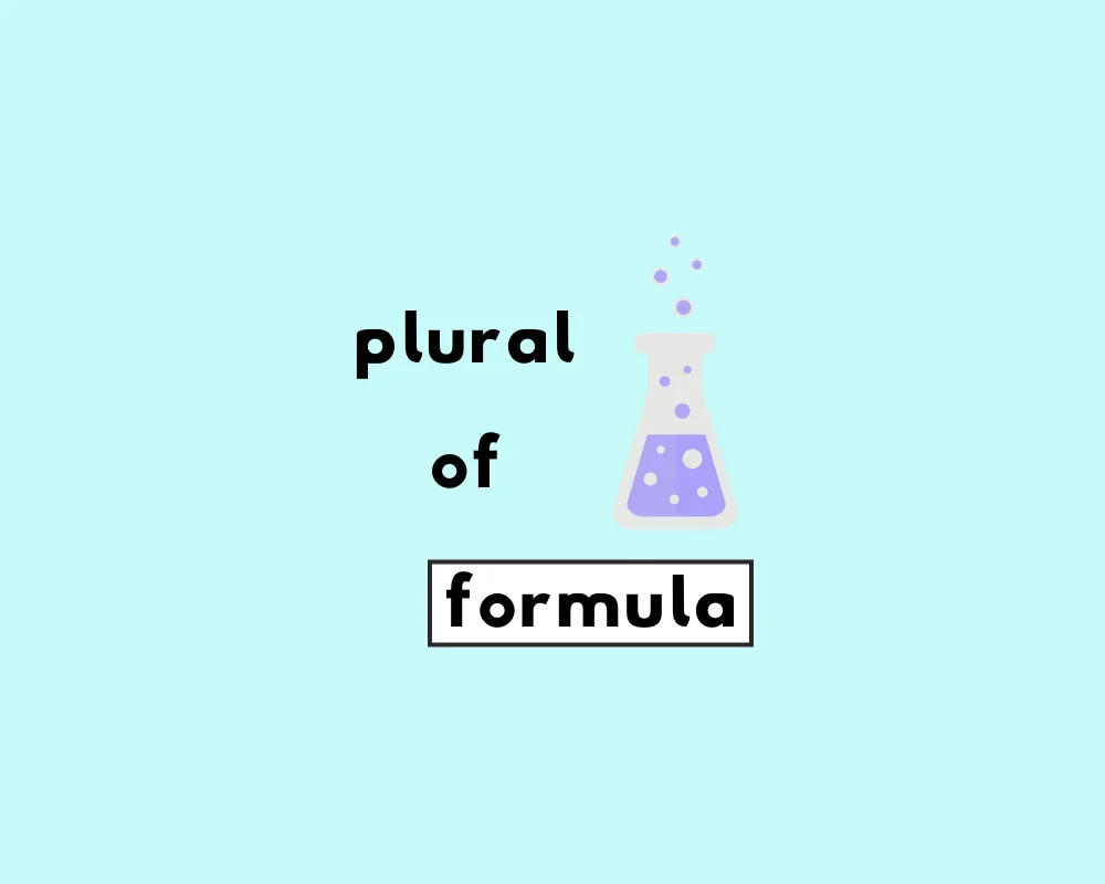 How to Use Formula Plural (Explained, Examples & Worksheet)