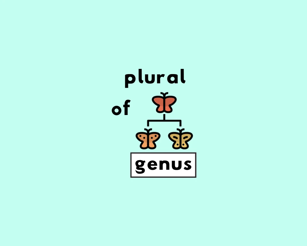 How to Use Genus Plural (Explained, With Examples)