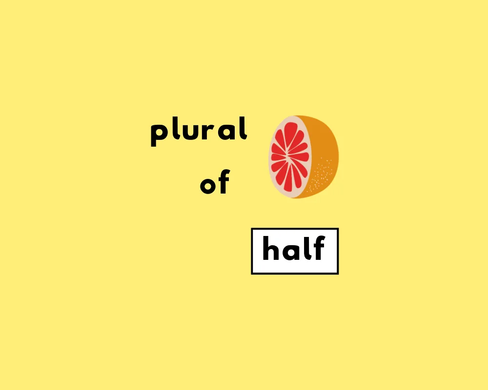 How to Use Half Plural (Explained, Examples & Worksheet)