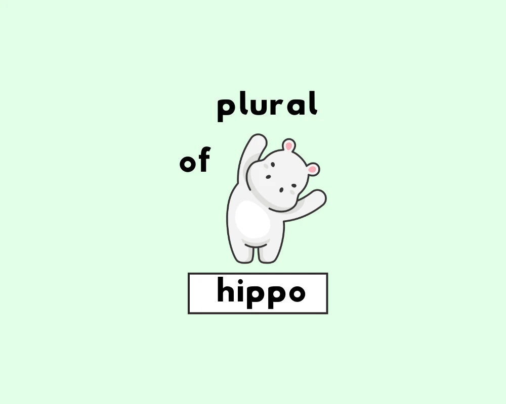 How to Use Hippopotamus Plural (Explanation & Worksheet)