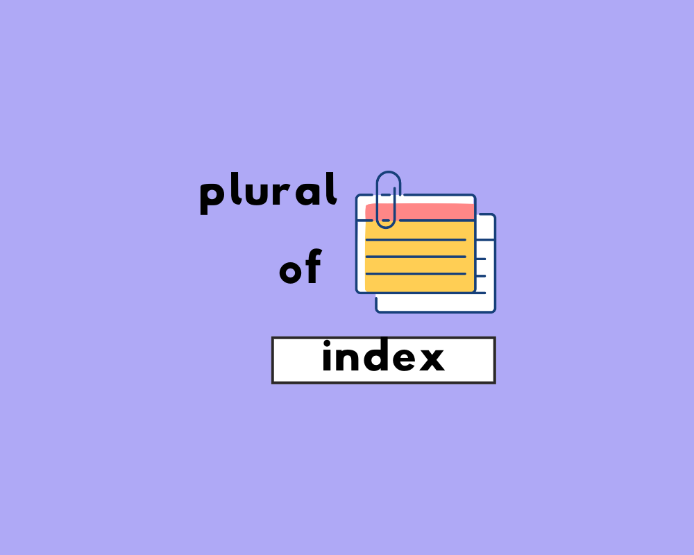 How to Use Index Plural (Explained, Examples)