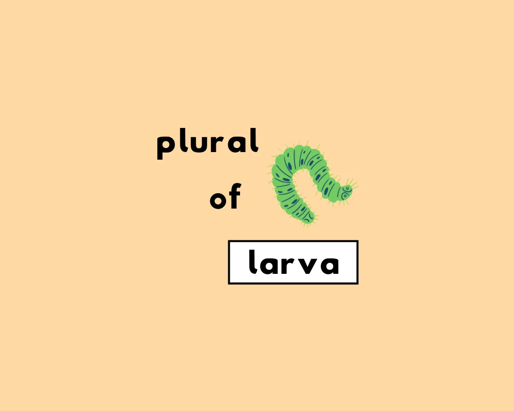 How to Use Larva Plural (Definition & Examples)