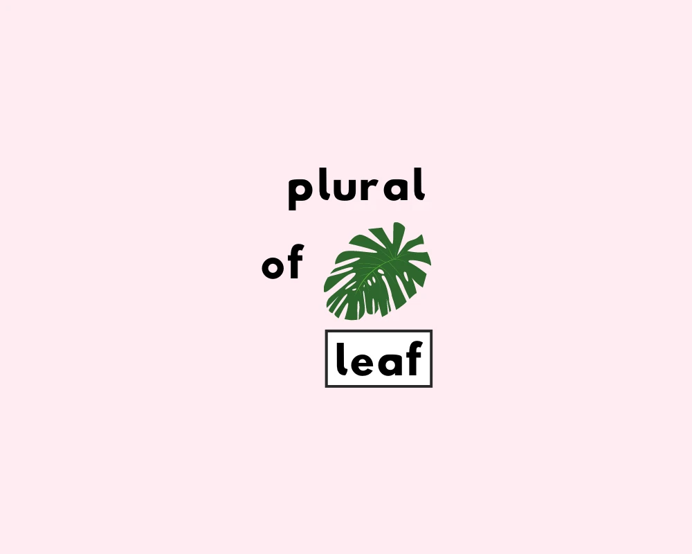 How to Use Leaf Plural (Explained, Examples & Quiz)