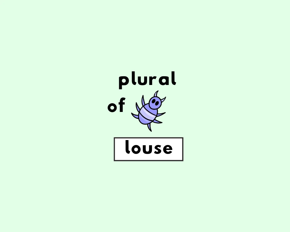 How to Use Lice Plural (Explained, With Examples)