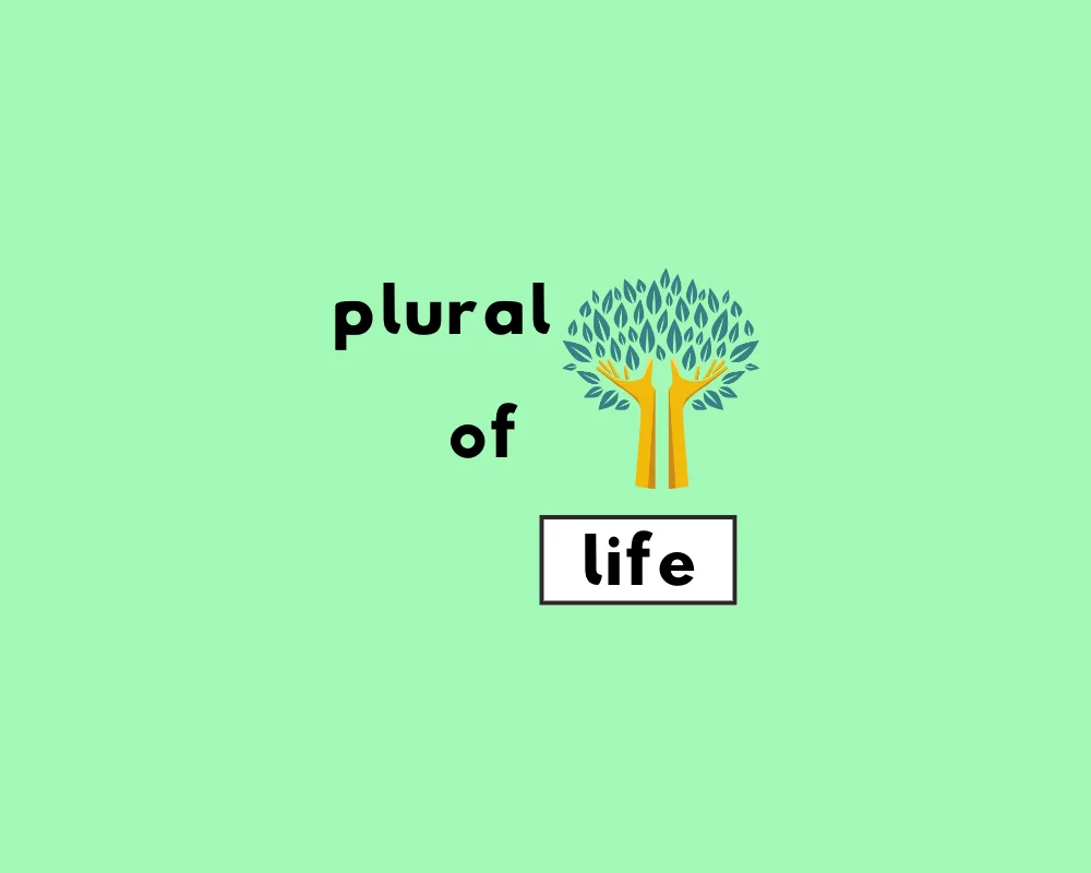 How to Use Life Plural (Explained, Plus Examples)