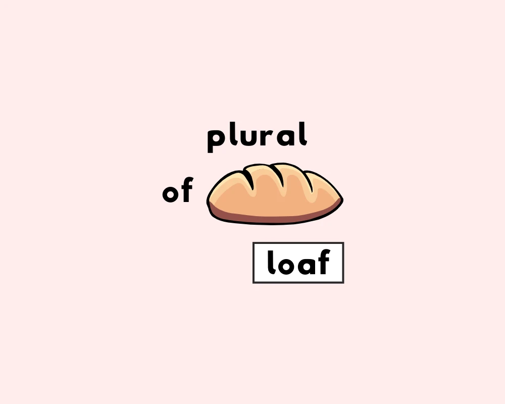 How to Use Loaf Plural (Explained, Examples & Worksheet)