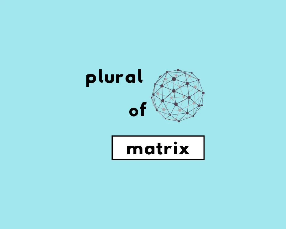 How to Use Matrix Plural (Matrices, Matrixes?)
