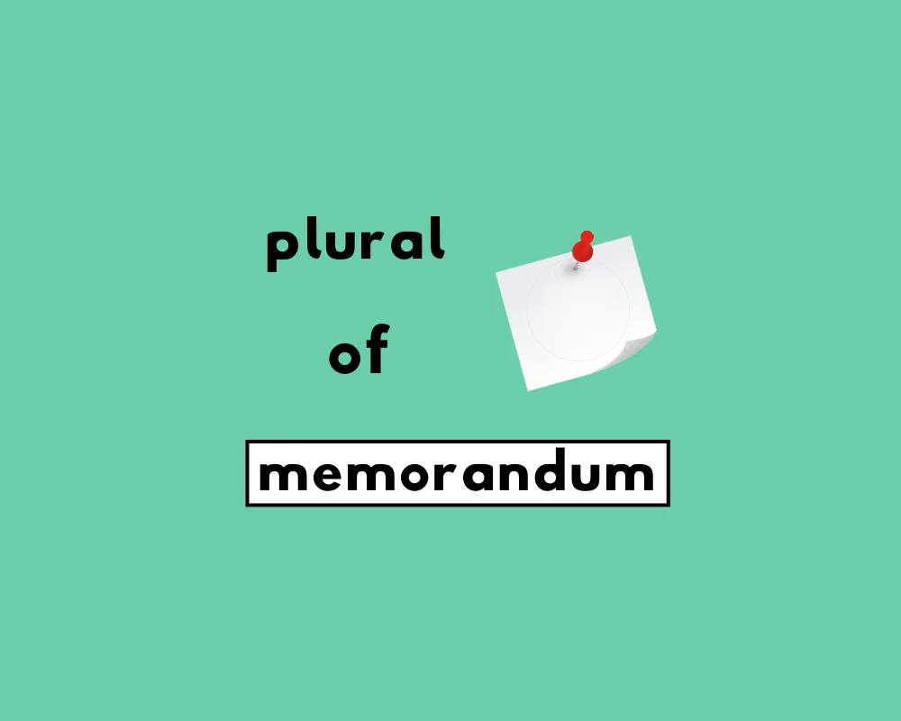 How to Use Memorandum Plural (Explained, With Examples)