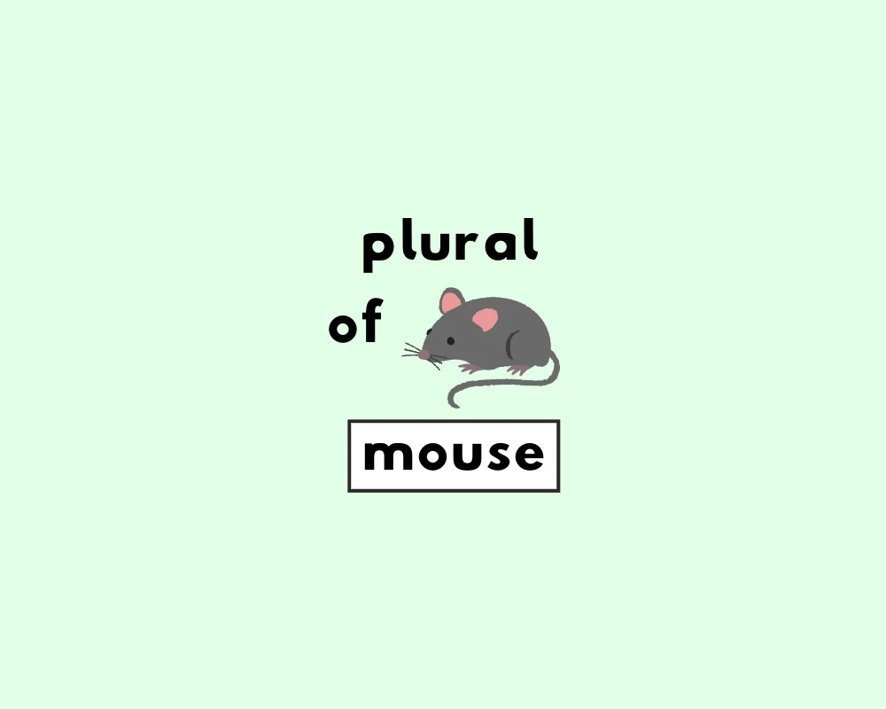 How to Use Mouse Plural (Explained, Examples & Worksheet)