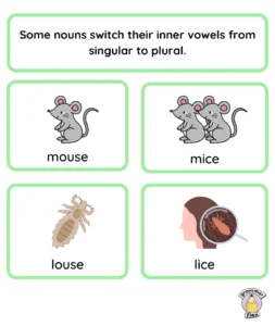 Some nouns switch their inner vowels from singular to plural.