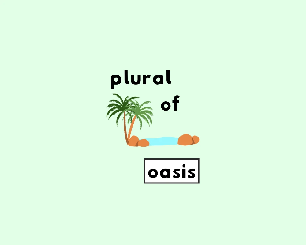 How to Use Oasis Plural (Explained, Examples & Worksheet)