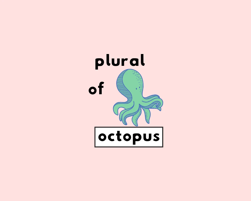 How to Use Octopus Plural (Octopus, Octopuses, Octopi?)