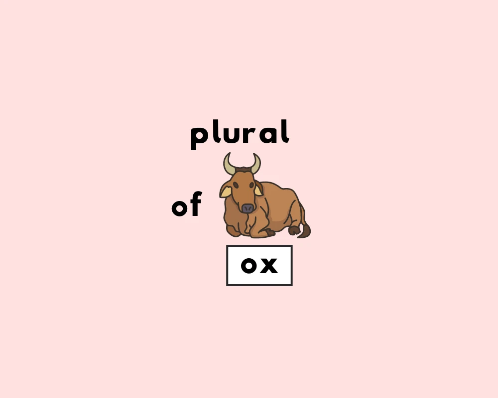 How to Use Ox Plural (Explained, Examples & Worksheet)