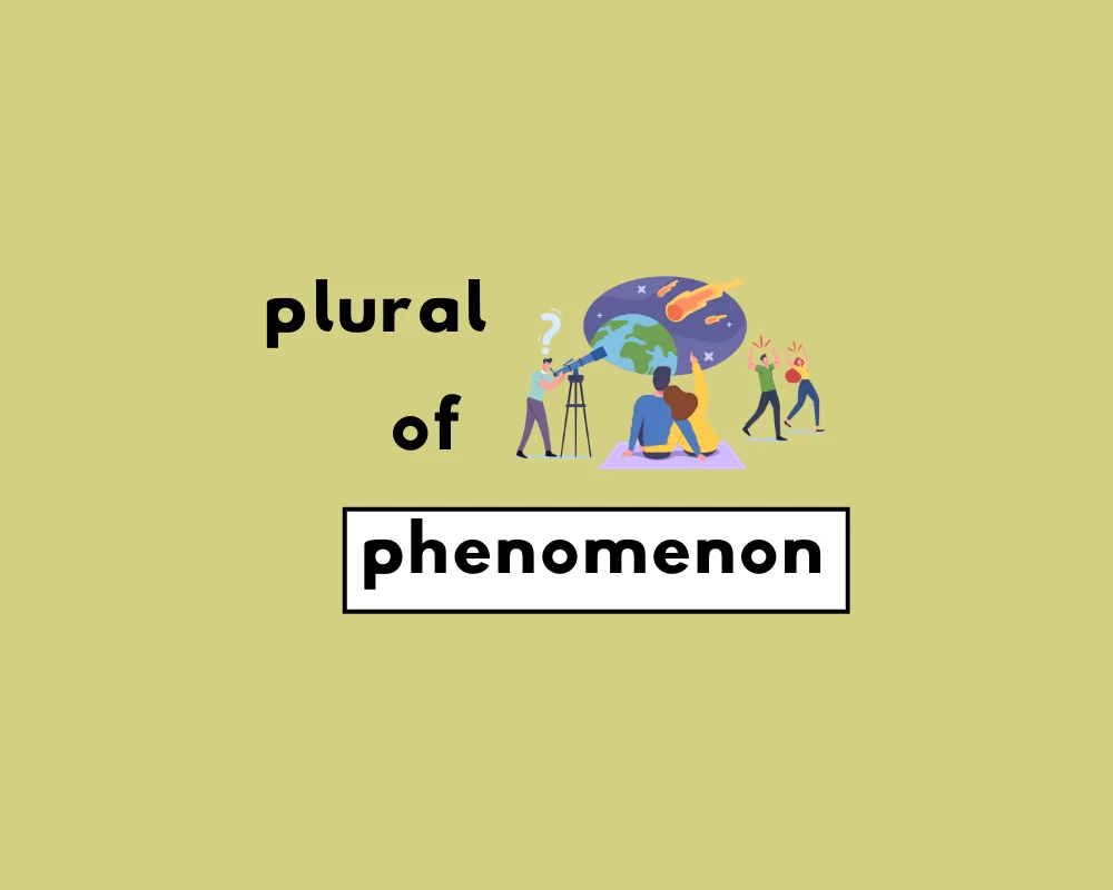 How to Use Phenomenon Plural (Explained, Examples)