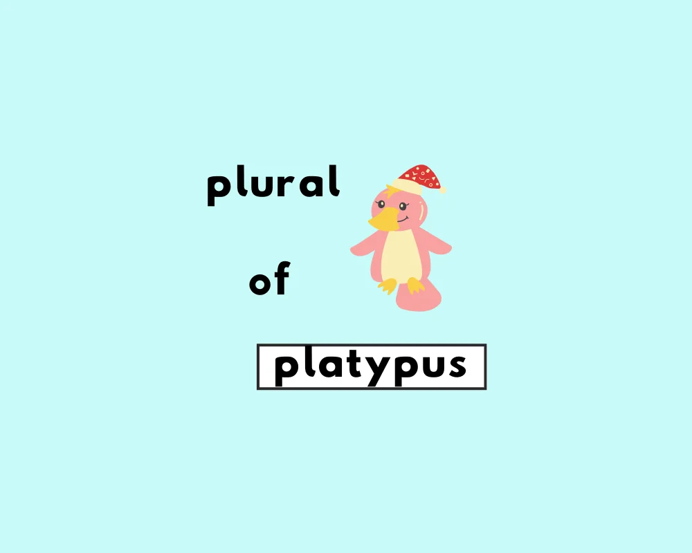 How to Use Platypus Plural (Platypi, Platypuses?)