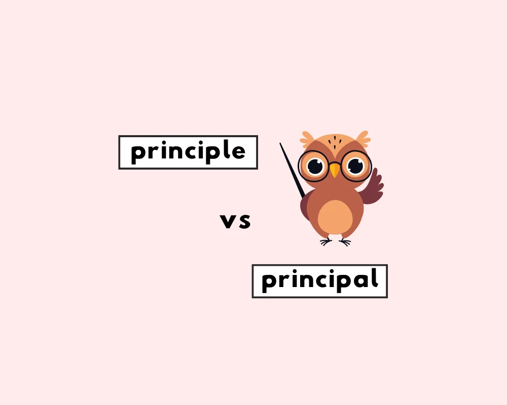 How to Use Principle or Principal? (Word Choice, Examples)