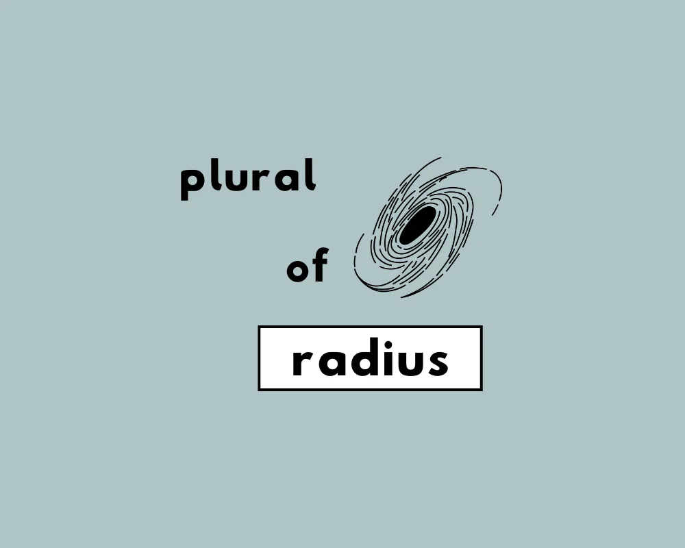 How to Use Radius Plural (Explained, With Examples)