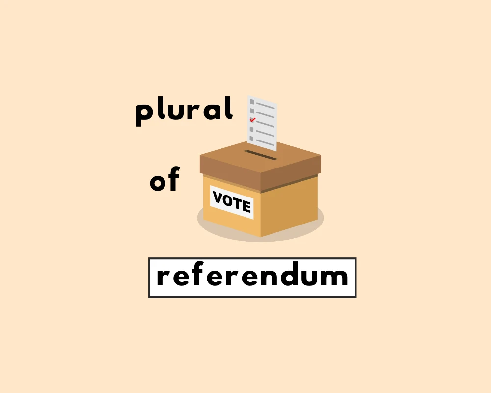 How to Use Referendum Plural (Explained, With Examples)