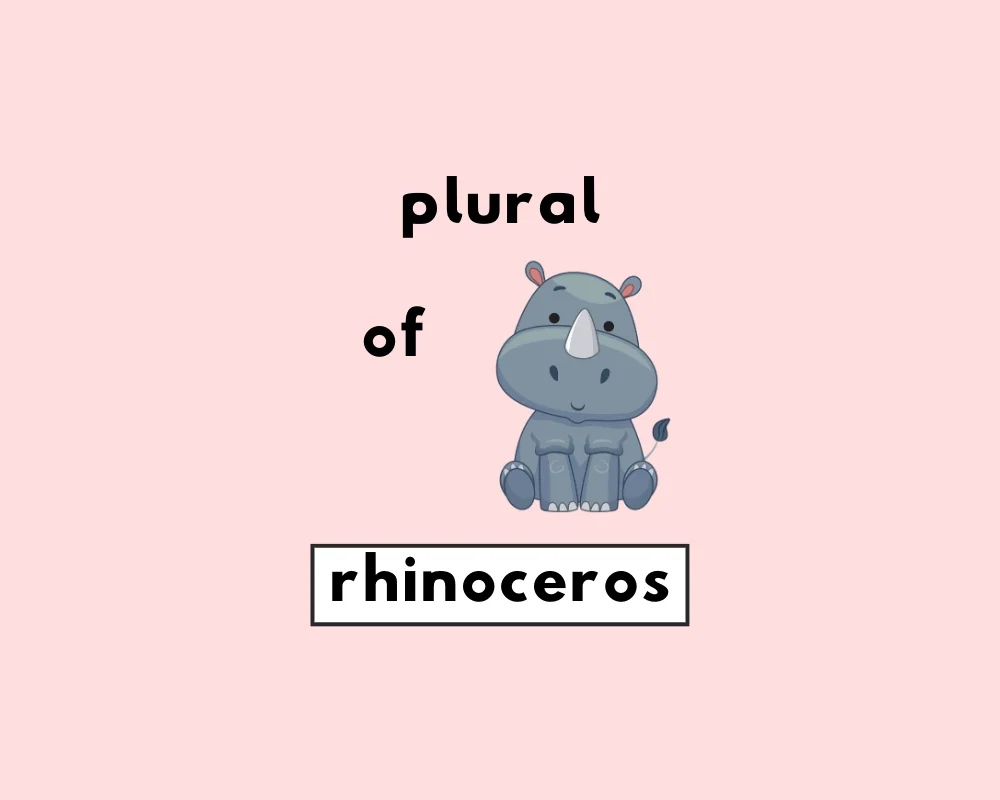 How to Use Rhinoceros Plural (Rhinoceroses, Rhinoceri?)