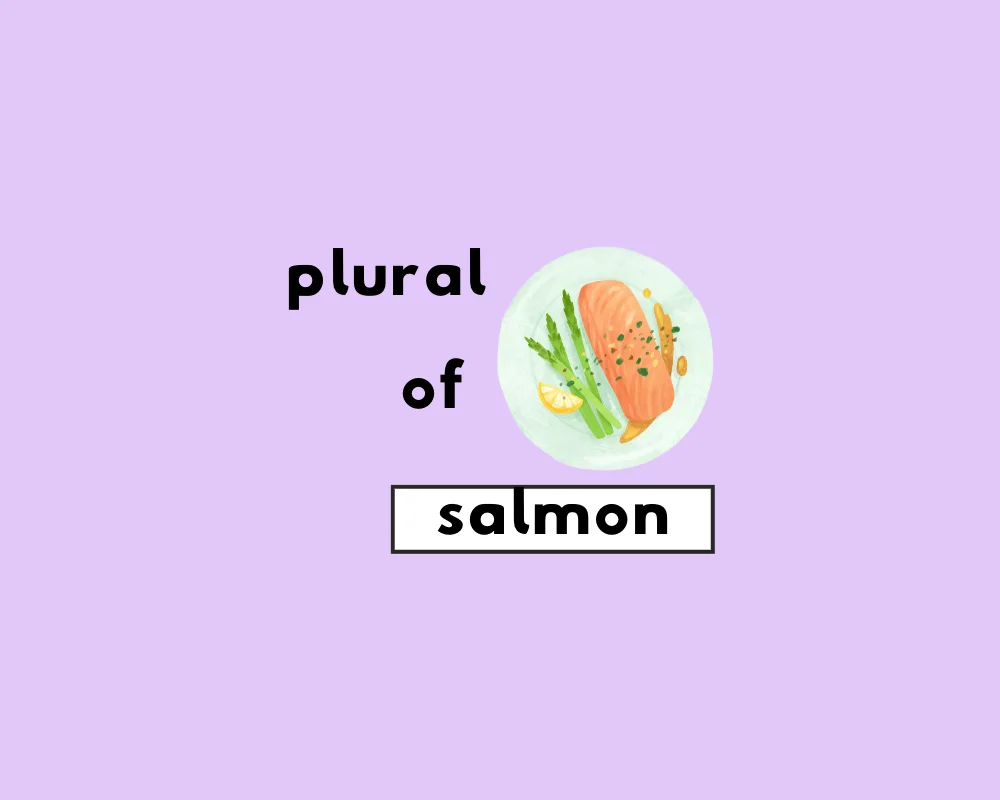 How to Use Salmon Plural (Explained, Examples)
