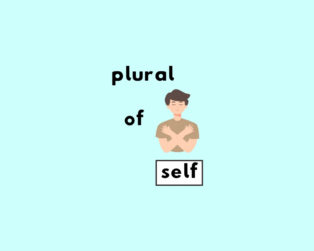How to Use Self Plural (Explained, With Examples)