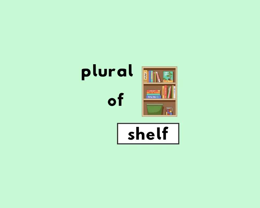 How to Use Shelf Plural (Examples, Explanation & Worksheet)