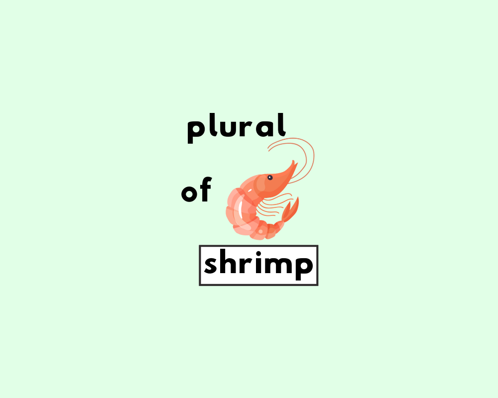 How to Use Shrimp Plural (Shrimp or Shrimps?)