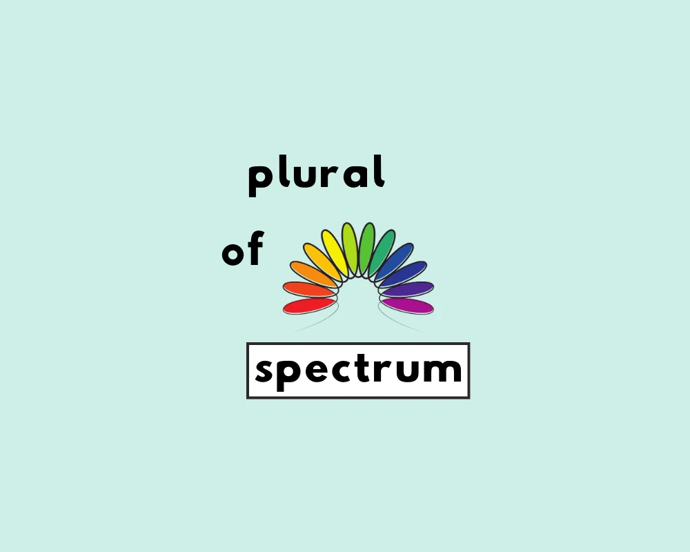 How to Use Spectrum Plural (Explained, Worksheet)