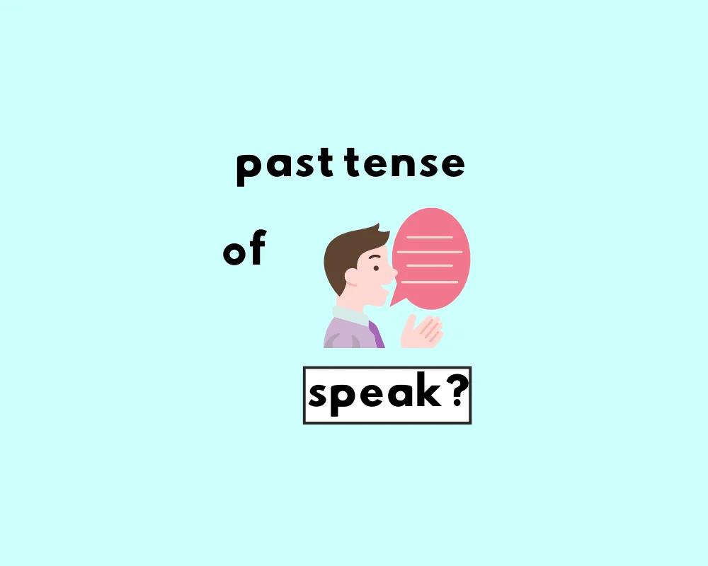 How to Use Spoke or Spoken? (Irregular Verbs)