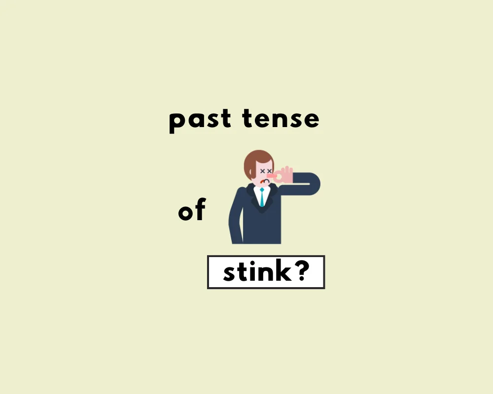 How to Use Stank or Stunk (Explained, With Examples)