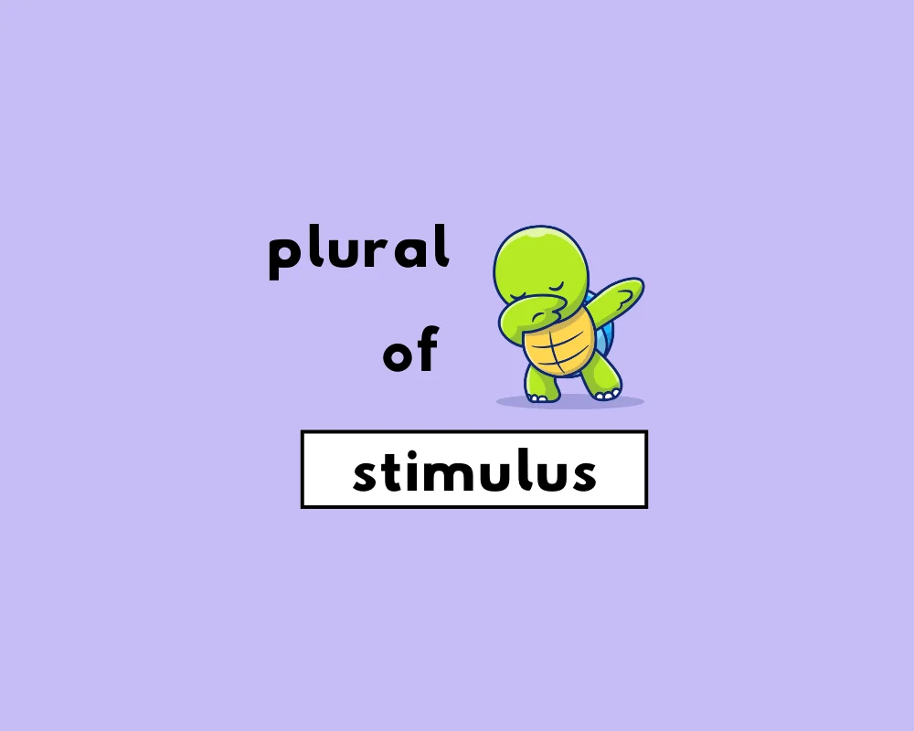 How to Use Stimulus Plural (Stimuluses, Stimuli?)