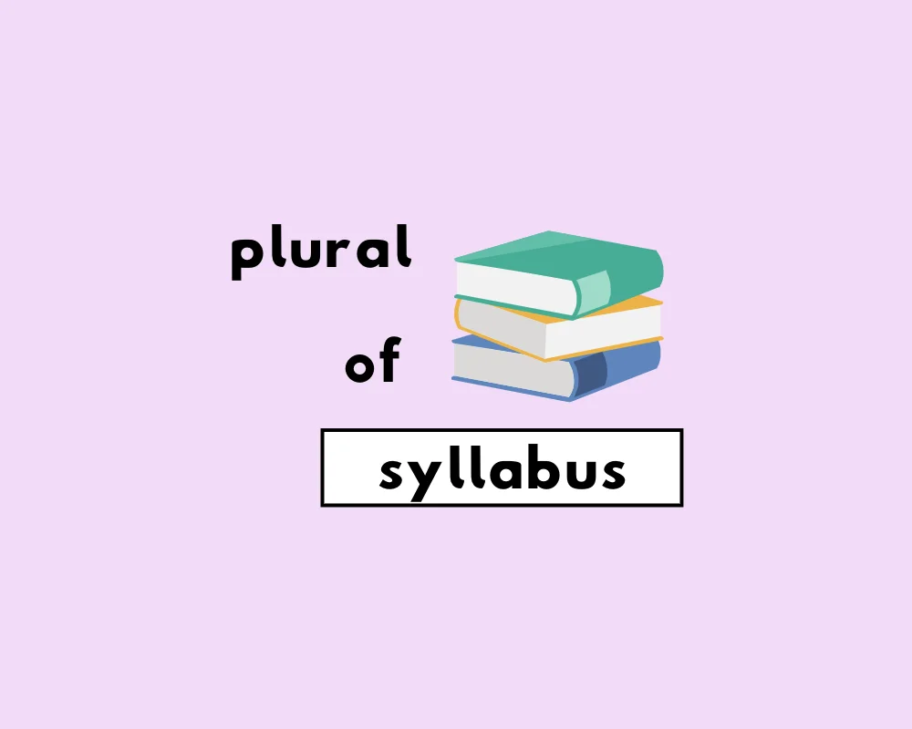 How to Use Syllabus Plural (Syllabuses, Syllab
