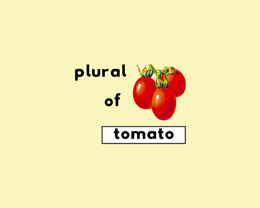 How to Use Tomato Plural (Tomatos or Tomatoes?)