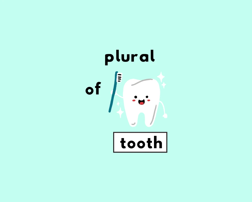 How to Use Tooth Plural (Explained, With Examples)